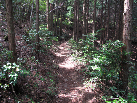 20140502hike (67)